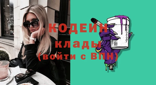 ECSTASY Богданович