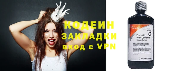 ECSTASY Богданович