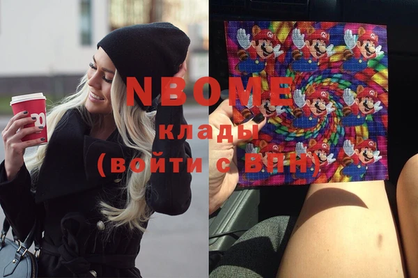 ECSTASY Богданович