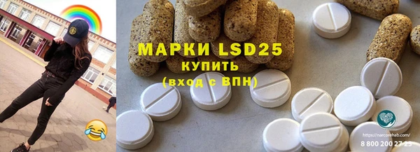 ECSTASY Богданович