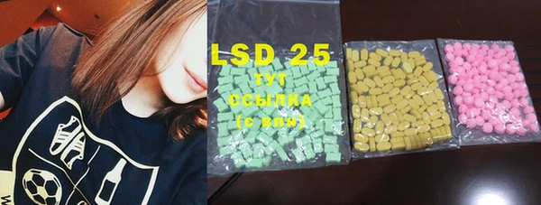 ECSTASY Богданович