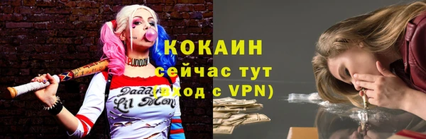 ECSTASY Богданович