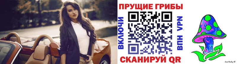 Галлюциногенные грибы Psilocybe  цены наркотик  Валдай 